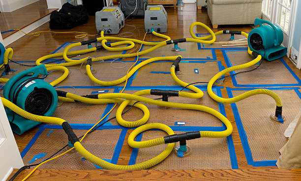 Professional Structural Drying And Dehumidification technician working in Cameron, MO
